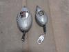 Thumbnail of Self-Retracting Lifeline