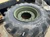Thumbnail of Tire